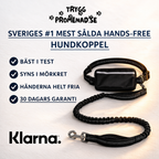TryggPromenad - promenaden på dina villkor.